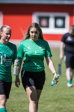 Bild 251 - F SG NieBar - IF Stjernen Flensborg : Ergebnis: 2:0